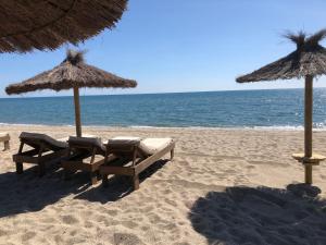 Spacieux T2 climatisé avec véranda, 150m plage, PKG, au cœur de la Grande Plage - 4 personnes - FR-1-799-20