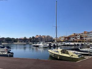 Studio confortable 3P avec piscines et parking public - Le Barcarès - FR-1-799-22