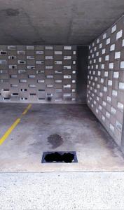 Spacious Apartment Oasis