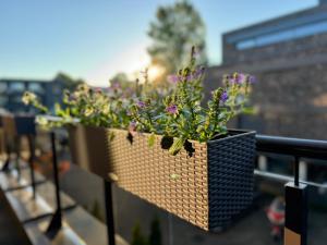 FONTANO apartamentas