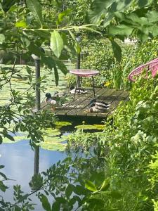 Lacuna STILLA by Sonnevijver Residences