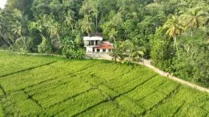 Villa Paddy Jem - Dodampe