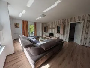 Das Schilfrohr - Trinwillershagen