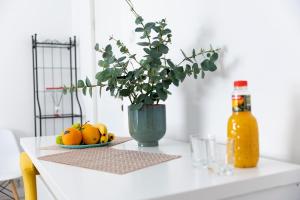 Old City Deluxe Studio Universitate