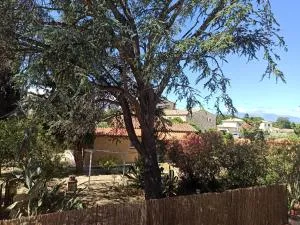 Calme et volupté avec animaux - Brouilla