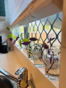 Another Your Place on Davidson!