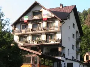 Vila Rina - Мойечу-де-Сус