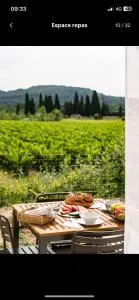 ANNA : vue sur les vignes, spa exterieur, sans vis-a-vis - Frigoulet