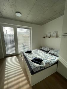 Relax Apartments Brno central