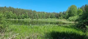 Dom Na Mazurach Elgnówko