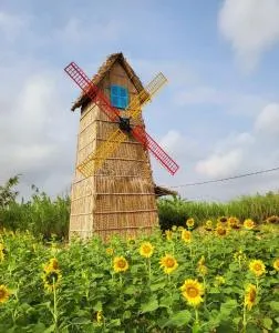 Khu nghỉ dưỡng sinh thái Apsara Sóc Trăng - Bạc Liêu