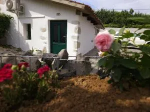 Apartma Lavanda - Vremski Britof