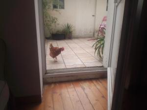B&B / Chambres d'hotes miloute a Troo : photos des chambres