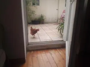 miloute à Trôo - 卢瓦尔河畔蒙图瓦尔