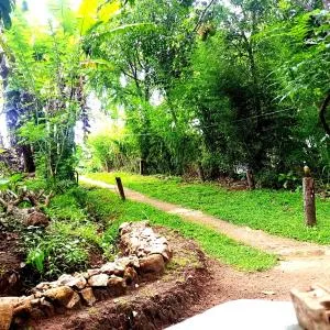 Ella Foret accomodation - Monaragala