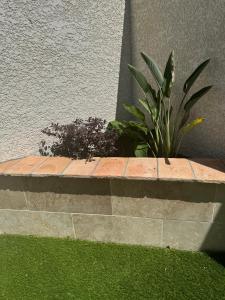 Maisons de vacances Petite maison individuelle proche plage : photos des chambres