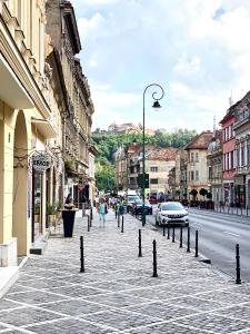 Cozy Brasov Center