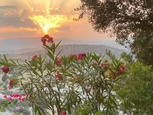 Endless Sunset - Vasa