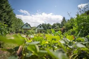 Spot Domki Wrzosowo - Wrzosowo