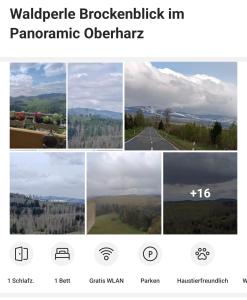 Waldperle Brockenblick im Panoramic Oberharz