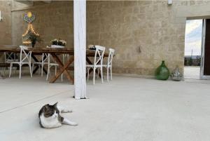 Masseria Spiga