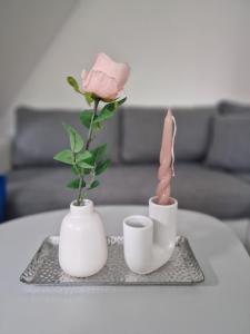 Hiška 111 s kopalnimi kartami 