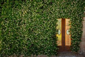 Agriturismo Bio Fattoria Bacio