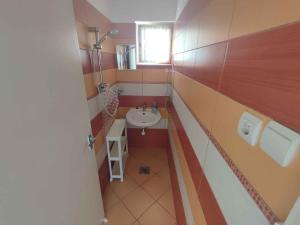 Apartment in Balatonmariafürdo 19196