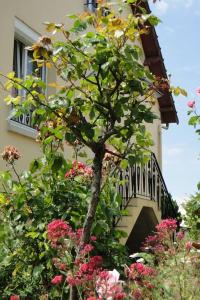 Maisons de vacances FRONT DE MER, meuble de tourisme sur le port : photos des chambres