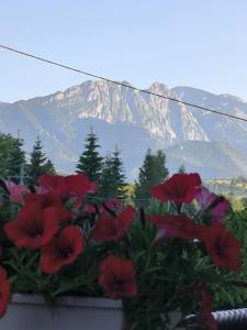 Jama Niedźwiedzia z widokiem na Giewont