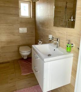 Apartmán Dominikánská