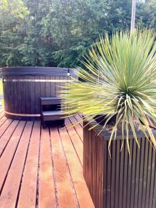 Osada Zator Family Resort & SPA