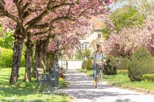 APARTMENT KLAGENFURT Villa Frank No1 - with Free Parking, Air Conditioning, Smart-TV & Self Check-in