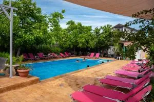 PENSIUNEA LAINER - Lumina