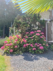 Maisons d'hotes L'Oreade : photos des chambres