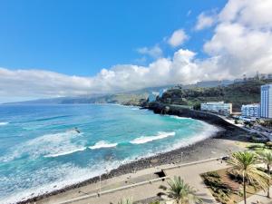 Palm Avenue - Adults Only -