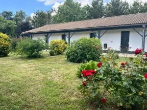 Cit'Hotel Les Eleis - 尼奥尔