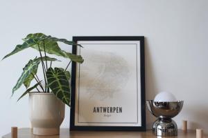 Sunny Apartment - Zuid Retreat 1BR Apartment near Scheldt River