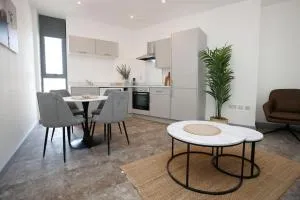 High Point 1 Bedroom Apartment - Wibsey