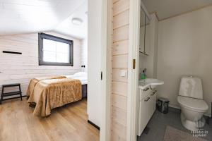 Holiday in Lapland -Sointuilevi2 A59