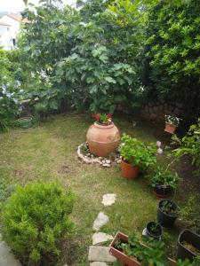 Apartman Seka