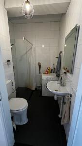 Very convenient studio near city center