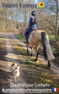 B&B / Chambres d'hotes Ferme equestre & Chambres d'hotes Gateau Stables proche Guedelon : photos des chambres