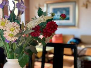 Beautiful house with sunny garden near Bratislava