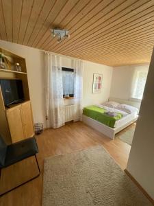 Gemütliche Wohnung am Tor zum Schwarzwald