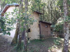 Le gîte de la cabane de loiseau