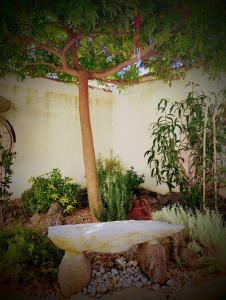 La casa del glicine Marrubiu img21