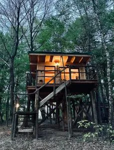 Living Forest Resort - Prosenjakovci