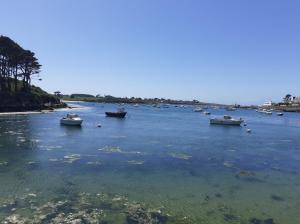 Maisons de vacances La petite bretonne de Treompan : photos des chambres