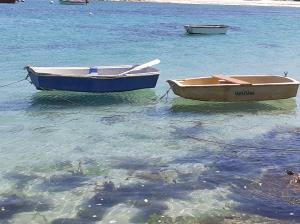 Maisons de vacances La petite bretonne de Treompan : photos des chambres